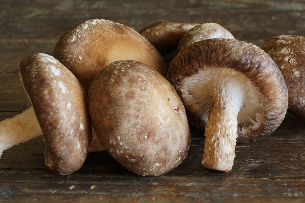 １０月21日午後　採れたて天然松茸5本　新潟県奥阿賀産　263グラム 10月21日午後 採れたて天然松茸5本 新潟県奥阿賀